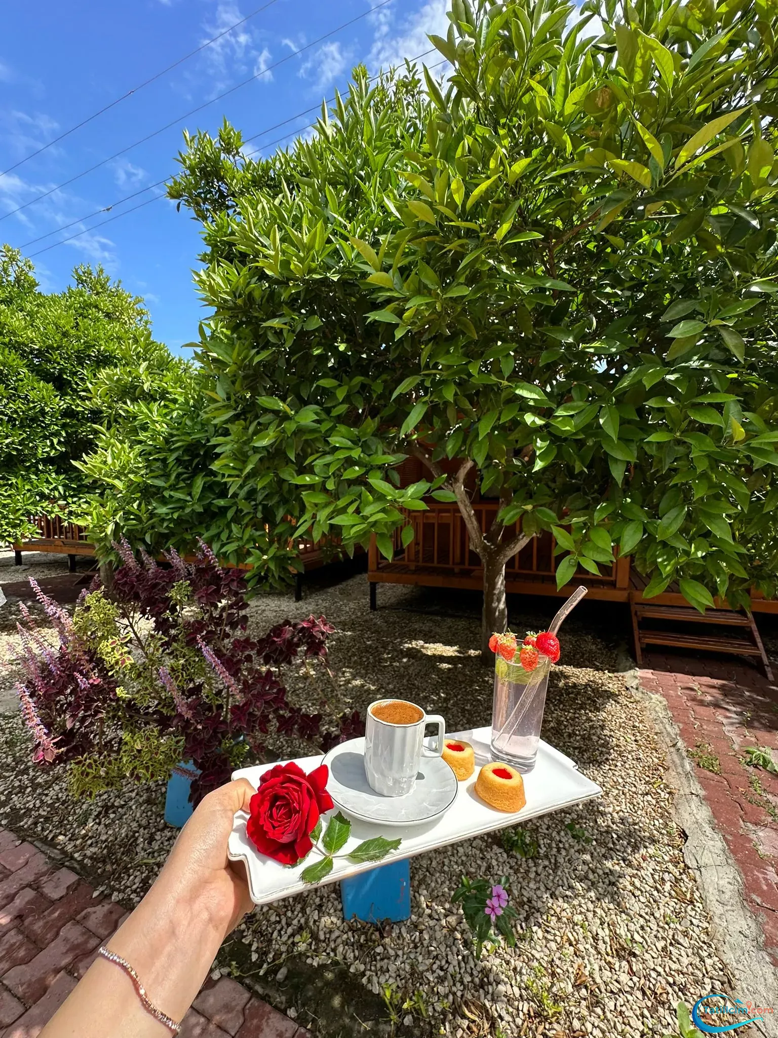 tatilcim.com Zehra Apart Evleri